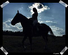 photo "Western..."