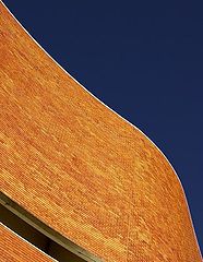 фото "the thin line"