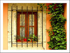 photo "A window (III)"