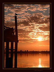 photo "sunrise3785"