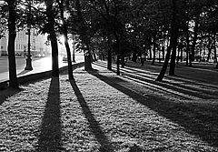 фото "Два мира"