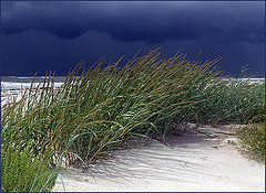фото "Breezes in Blue"
