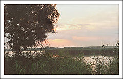 photo "At dawn-2..."