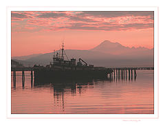 photo "tug in pink sunrise"
