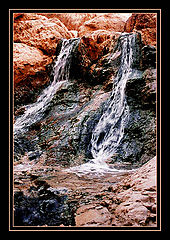 photo "Alive and dead water"