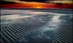 photo "all that jazz"