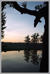 фото "Evening At The Pond"