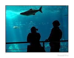 photo "Another world"