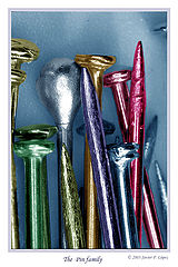 photo "The  Pin family"