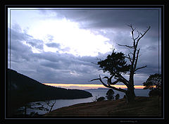 photo "Sleepy  Hollow Bay"