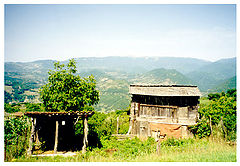 photo "Untitled photo"