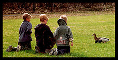 photo "New friends II"