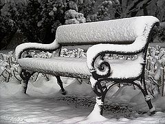 photo "Waiting"