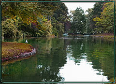 photo "***"