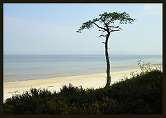 photo "unowned"
