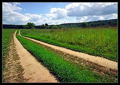 photo "Summer etude. Road through a meadow"