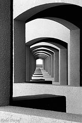 фото "B/W Rhythm"
