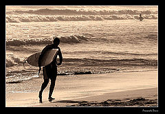photo "Wait for me !!"