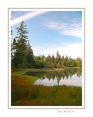 photo "Pond Corner"