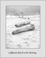 photo "California Beach in the Morning"
