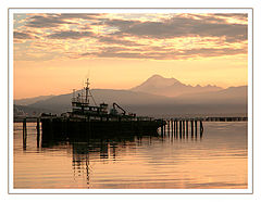 photo "golden tug"