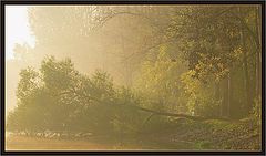 photo "Misty Morning"