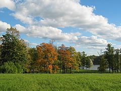 photo "Autumn in Tsarskoe Selo"