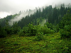 photo "Clouds in Heaven"
