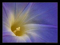 фото "**-**"