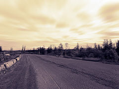 photo "Speed"