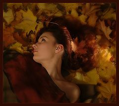 photo "Gold dreams."