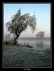 фото "проповедь"