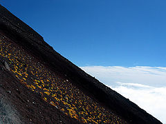photo "The Ascent"