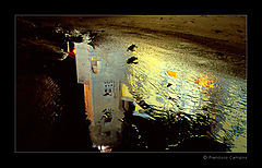 фото "(no title)"