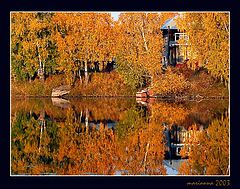 фото "золотая осень"