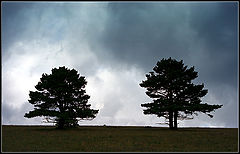 фото "2"