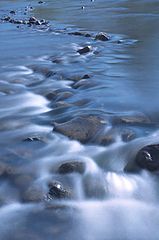 фото "Rush"