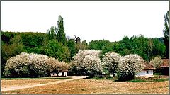 photo "Old Village"