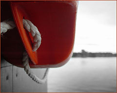 photo "life-buoy"