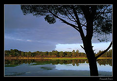 photo "The lake"
