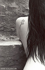 photo "gekko"