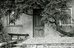 фото "home"