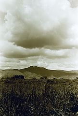 photo "Landscape"