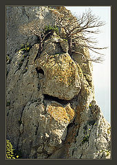 photo "Crimea dinosaurus"