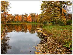 фото "Осенние кадры-6"