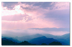 photo "***"