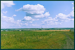 photo "The Field"