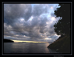 photo "trouble brewing"