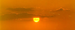 фото "glory in orange"