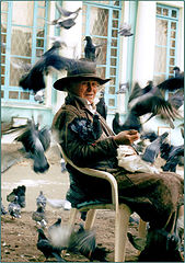 фото "Birdman"